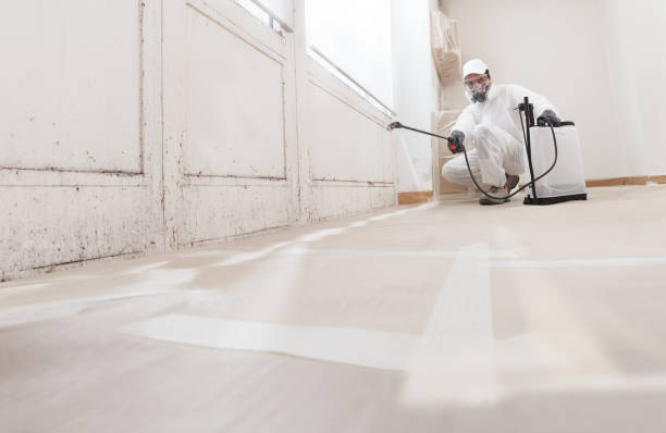 24/7 Emergency Mold Inspection experts in Simpson, PA
