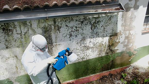 Trusted Mold Testing service in Simpson, PA - Cheap Mold Removal